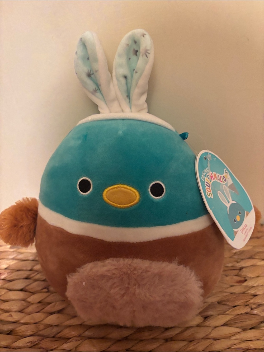 Squishmallows Teal and Brown Bunny-Eared Plush Small Pet Toy”Daksa”